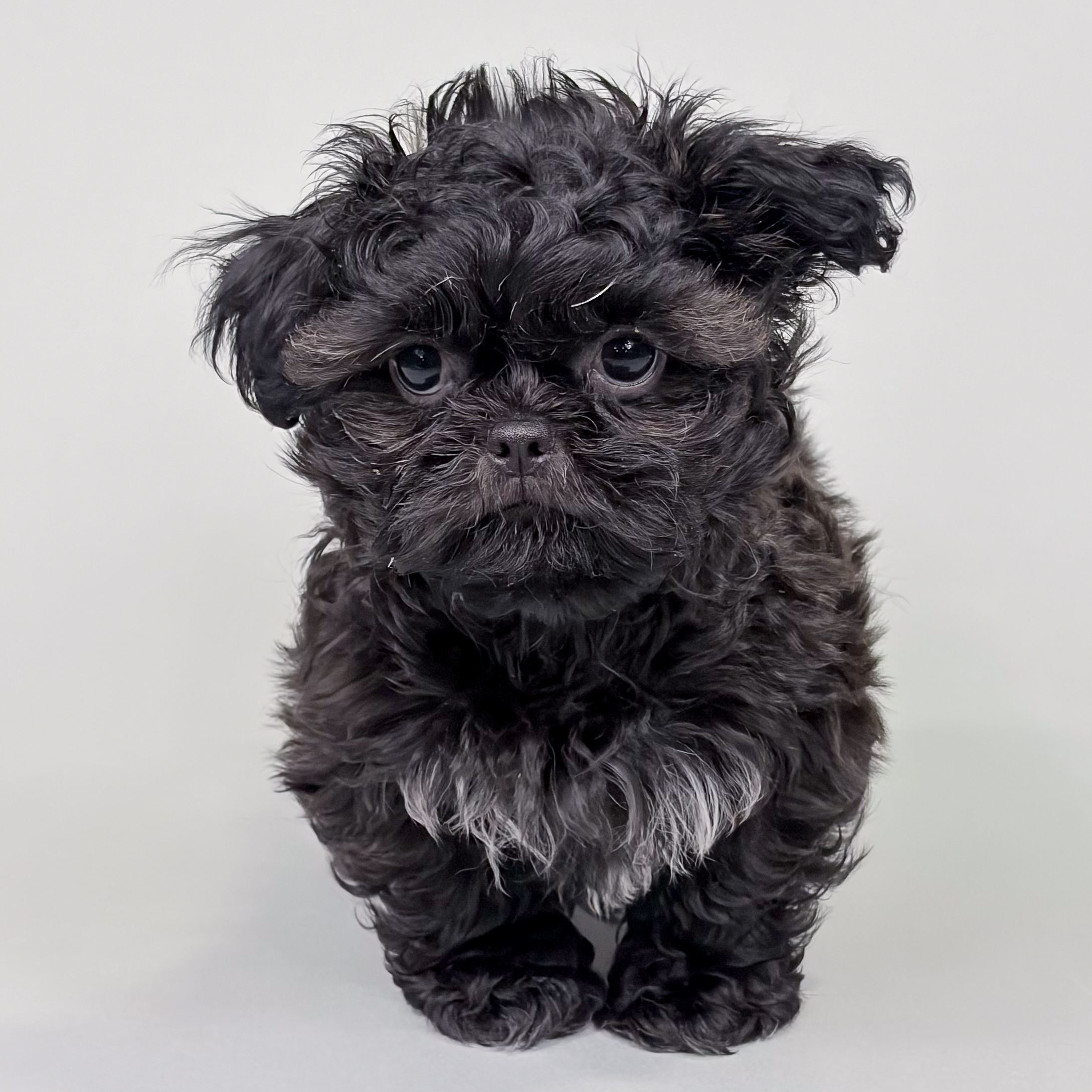 Stitch photo 1