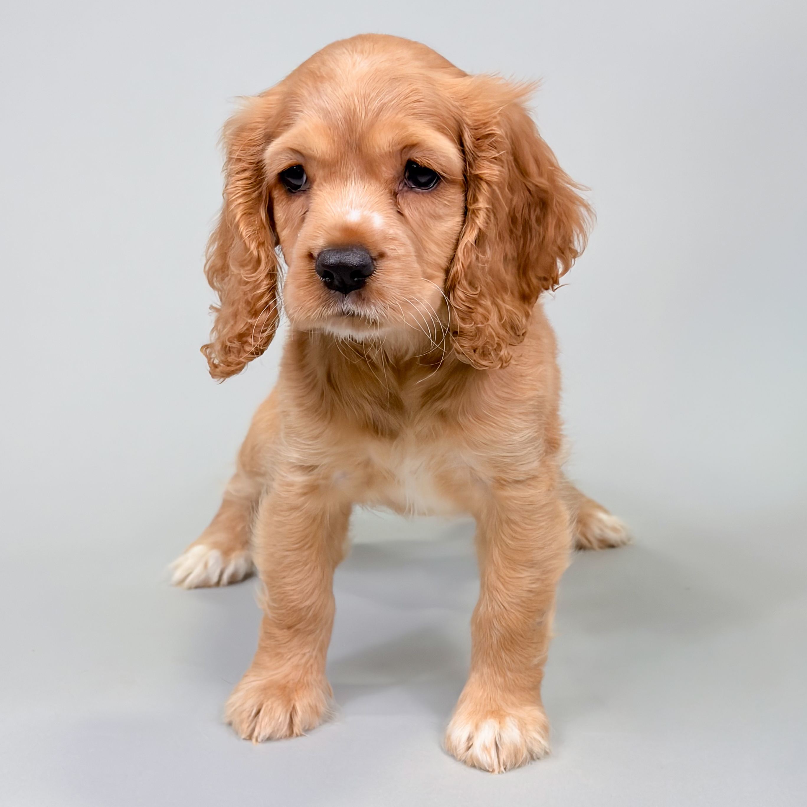Maggie Mae photo 1