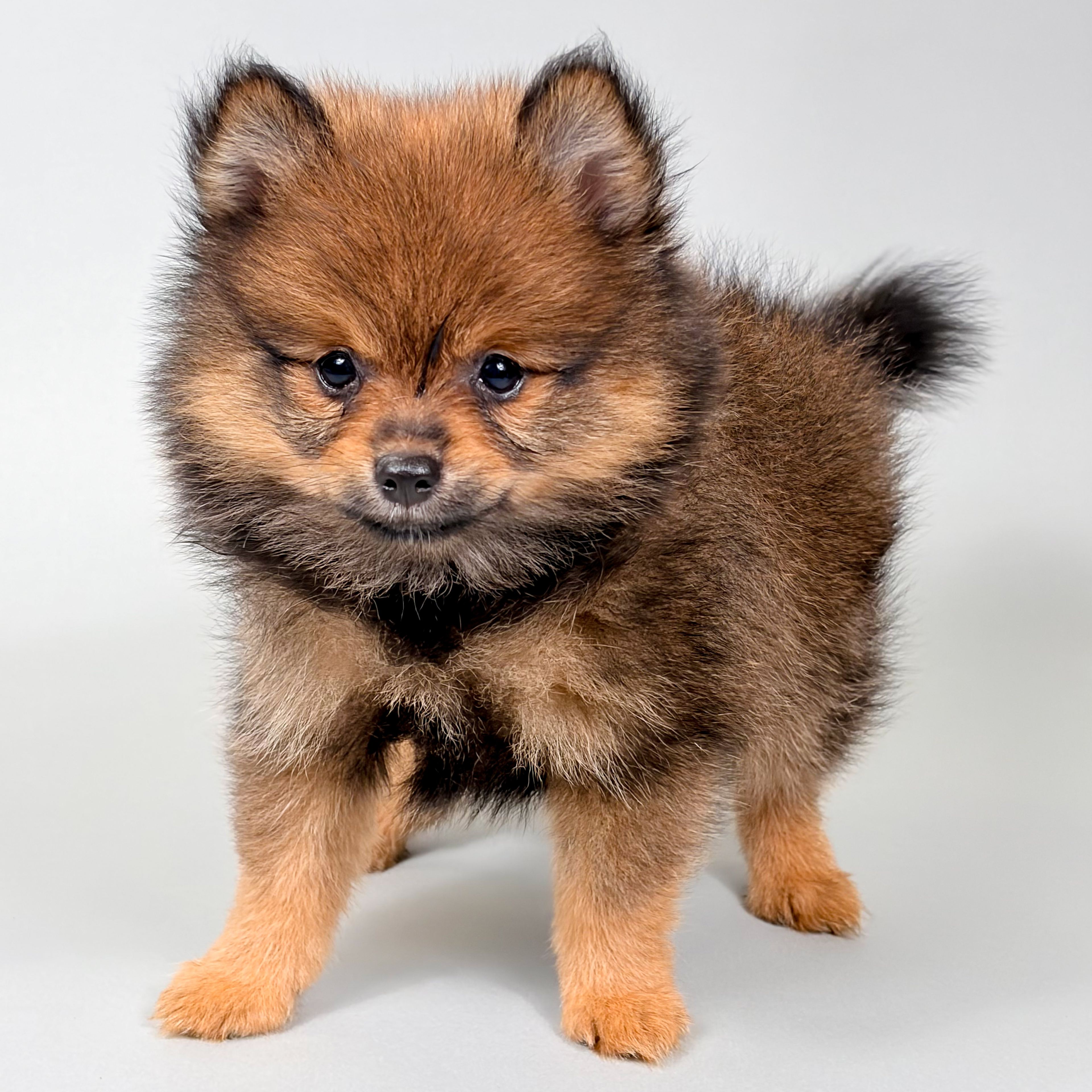 Chewy photo 1